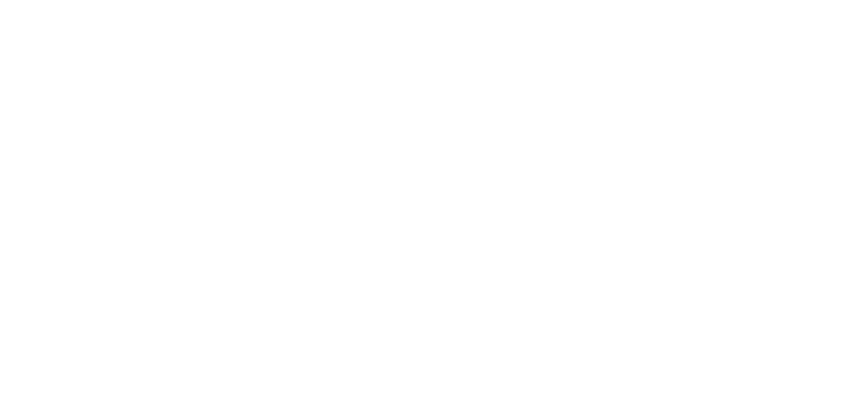 Mercado Fungi