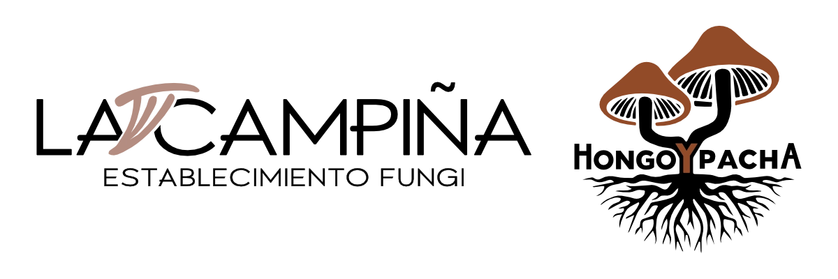 logos_institucional